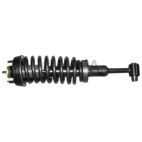 Suspension Strut Assembly