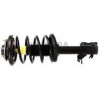 Suspension Strut Assembly