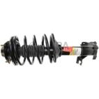 Suspension Strut Assembly