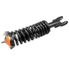 Suspension Strut Assembly