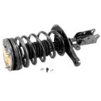 Suspension Strut Assembly