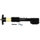 Suspension Strut Assembly