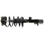 Suspension Strut Assembly