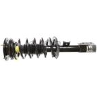 Suspension Strut Assembly