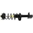 Suspension Strut Assembly