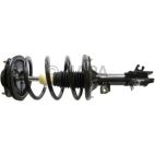 Suspension Strut Assembly