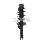 Suspension Strut Assembly