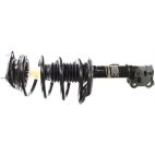 Suspension Strut Assembly