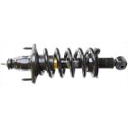 Suspension Strut Assembly