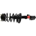 Suspension Strut Assembly