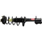 Suspension Strut Assembly