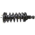 Suspension Strut Assembly