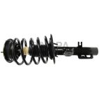Suspension Strut Assembly