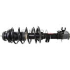 Suspension Strut Assembly