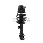 Suspension Strut Assembly
