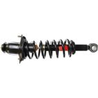 Suspension Strut Assembly