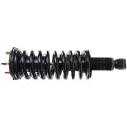 Suspension Strut Assembly
