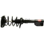 Suspension Strut Assembly