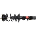 Suspension Strut Assembly