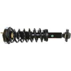 Suspension Strut Assembly