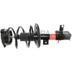 Suspension Strut Assembly