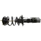 Suspension Strut Assembly