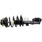 Suspension Strut Assembly