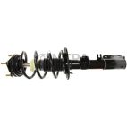 Suspension Strut Assembly