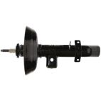 Suspension Strut