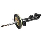 Suspension Strut