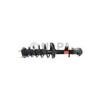 Suspension Strut Assembly