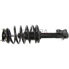Suspension Strut Assembly