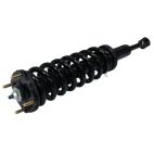 Suspension Strut Assembly