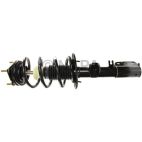 Suspension Strut Assembly