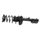 Suspension Strut Assembly