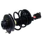 Suspension Strut Assembly