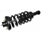Suspension Strut Assembly