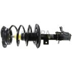 Suspension Strut Assembly