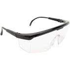Safety Glasses / Goggles, Traditional, Black Frame, Clear Lens