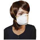 Safety Mask Disposable Respirators