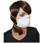 Safety Mask Disposable Respirators