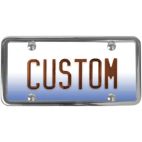 Refrigerant Oil Injector