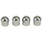 Tire Valve Stem Caps