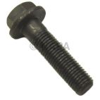 Engine Timing Camshaft Gear Bolt
