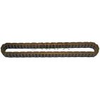 Engine Timing Chain