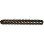 Engine Timing Chain