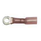 Primary Wire Heat Shrink Terminal Ring Terminal