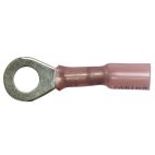 Primary Wire Heat Shrink Terminal Ring Terminal