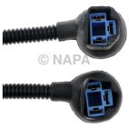 Headlight Socket