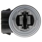 Tail Light Socket